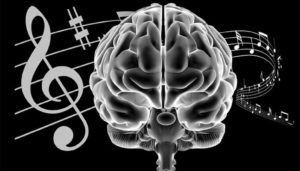 music notes interacting with the brain